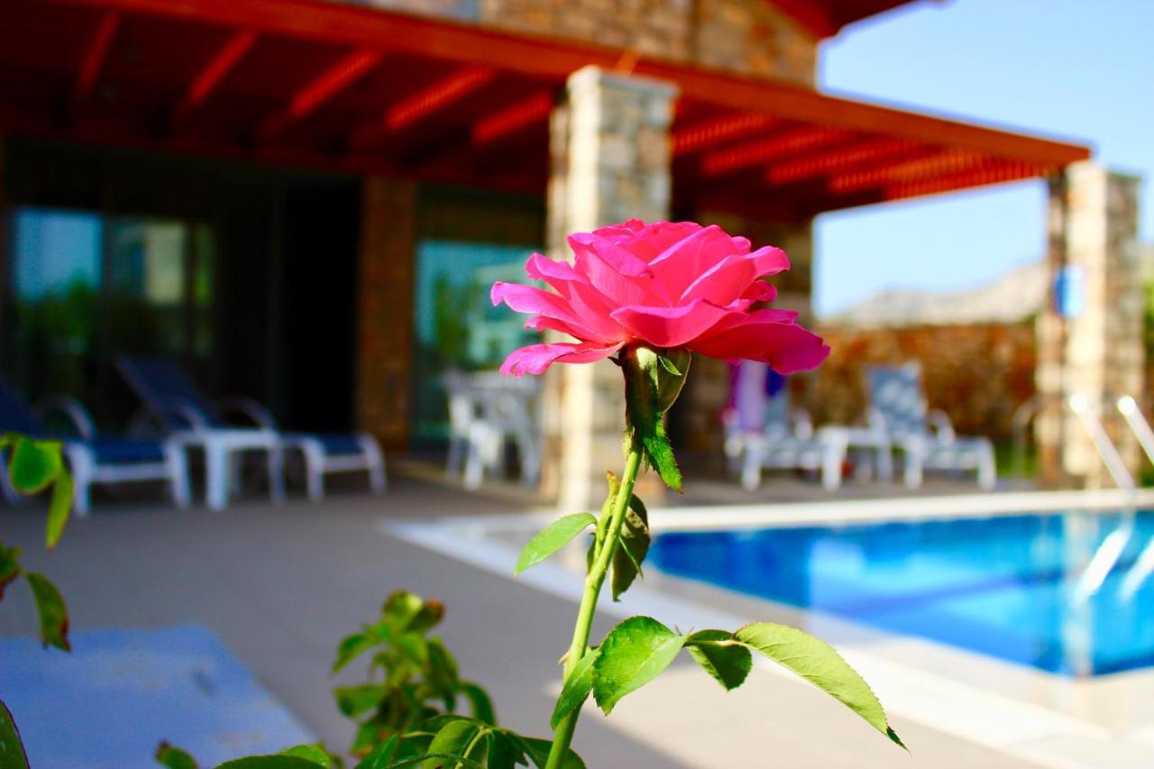 Estrella Villas Lardos Quarto foto